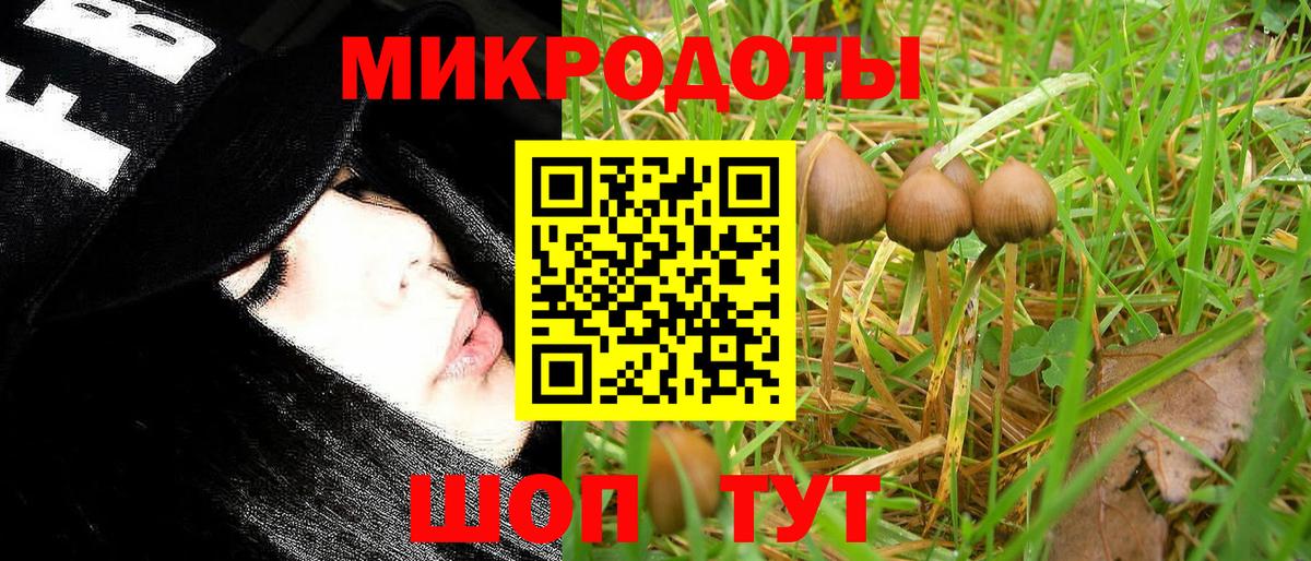 закладки  Псилоцибиновые грибы прущие грибы  Вход с VPN  Сергиев Посад 