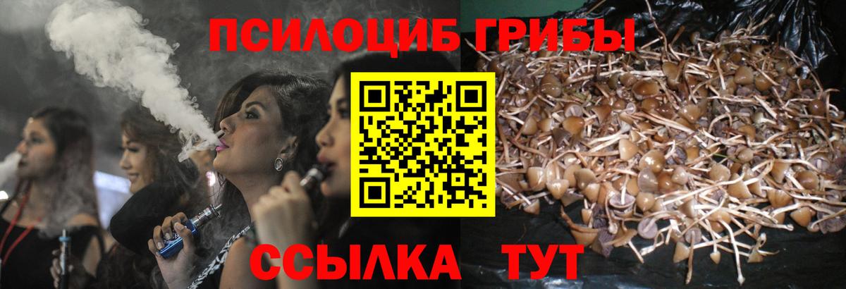 Галлюциногенные грибы Psilocybe Сергиев Посад